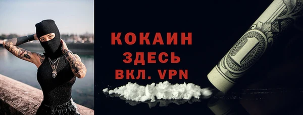 дмт Осинники