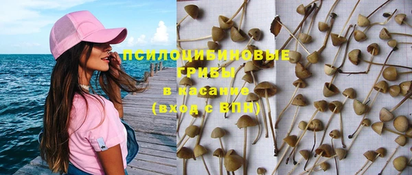 амф Бежецк