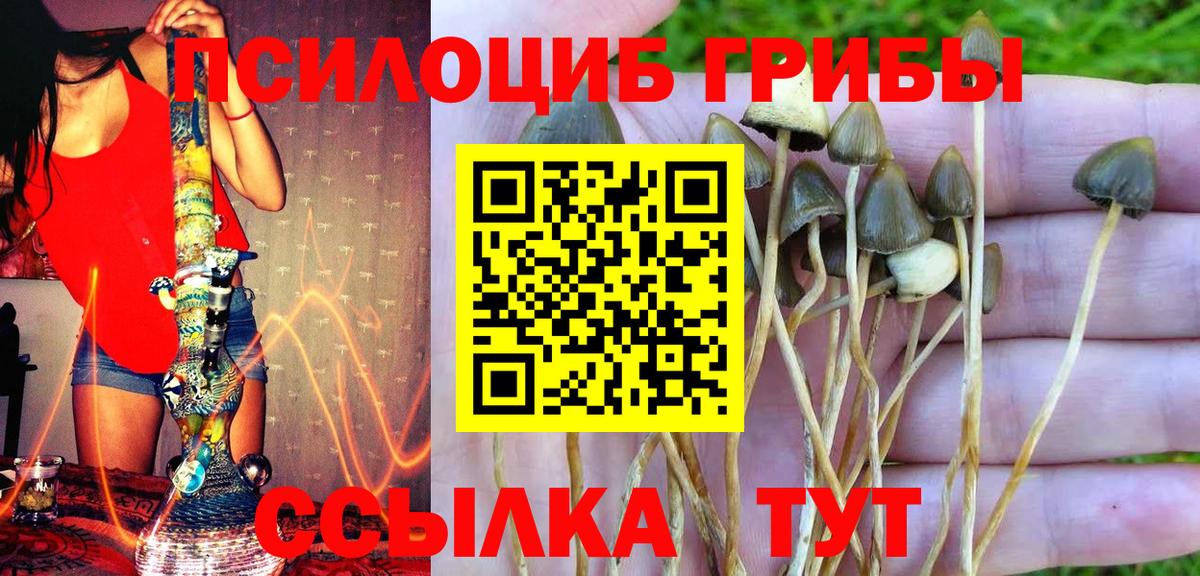 ГАШ  МЕФ  Вход с VPN  Cocaine  МЕФ   Купить закладку  Североуральск  Канабис  ГАШ 