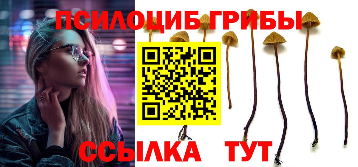Галлюциногенные грибы MAGIC MUSHROOMS  Вход с VPN  Галлюциногенные грибы Magic Shrooms  Североуральск 